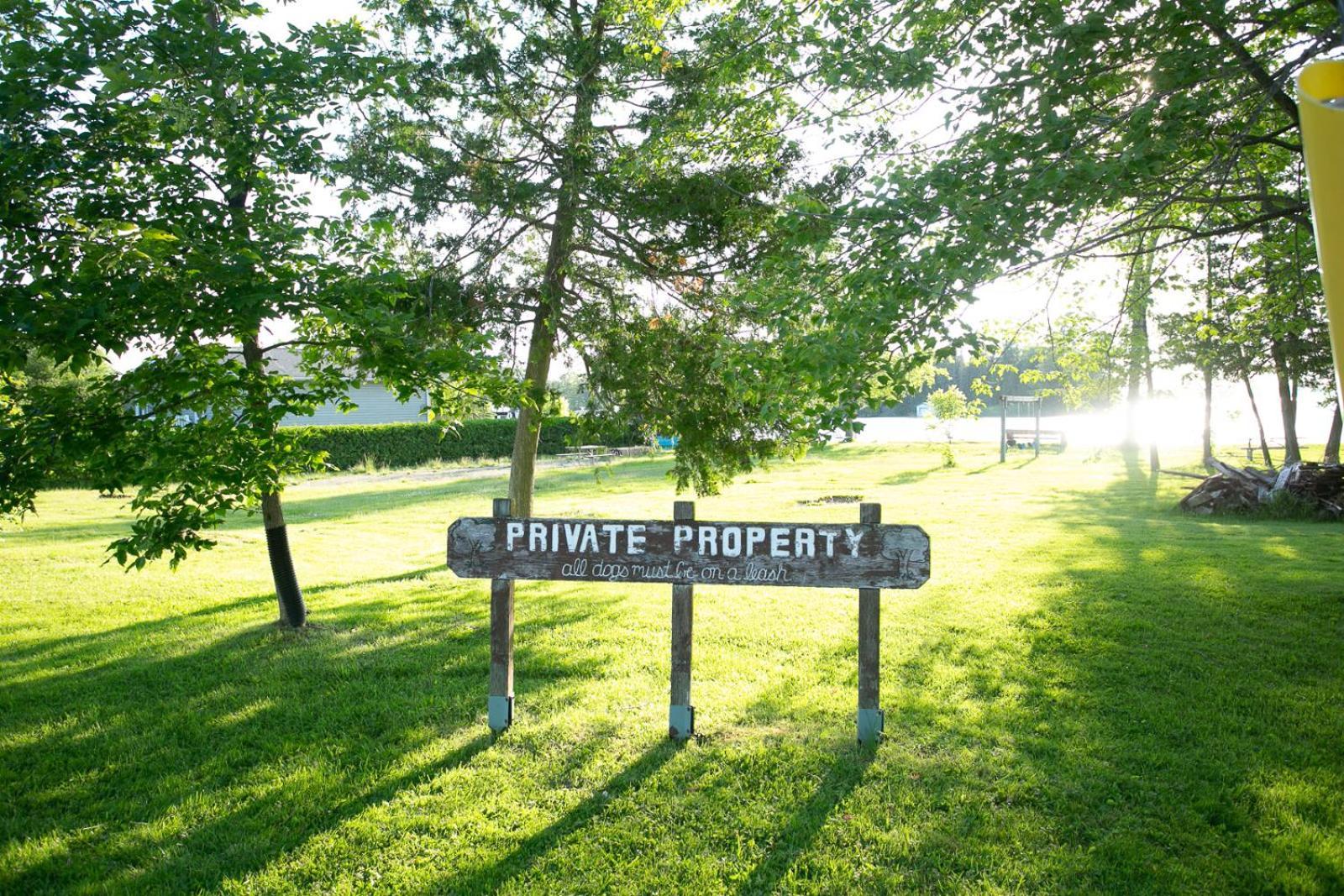 Fun Place With A Sandy Beach For Swimming, Boating, And Fishing, Featuring 3 Available Cabins Fenelon Falls Bagian luar foto
